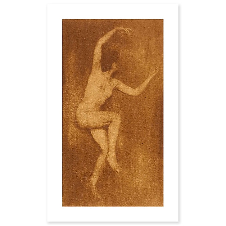 The Spider (canvas without frame)