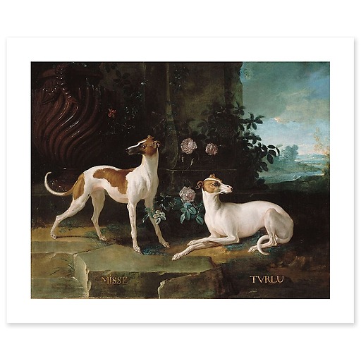 Misse and Turlu, two greyhounds of Louis XV (art prints)