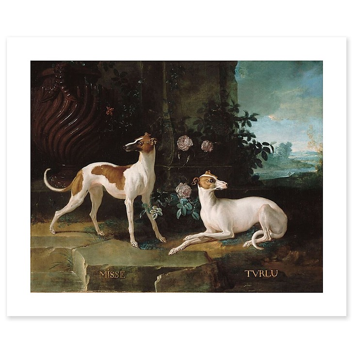 Misse and Turlu, two greyhounds of Louis XV (art prints)