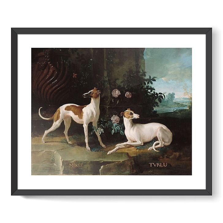 Misse and Turlu, two greyhounds of Louis XV (framed art prints)