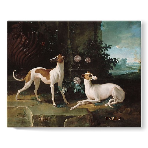 Misse and Turlu, two greyhounds of Louis XV (stretched canvas)