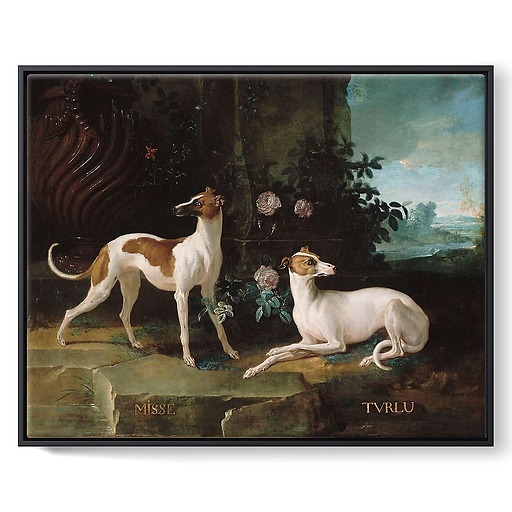 Misse and Turlu, two greyhounds of Louis XV (framed canvas)