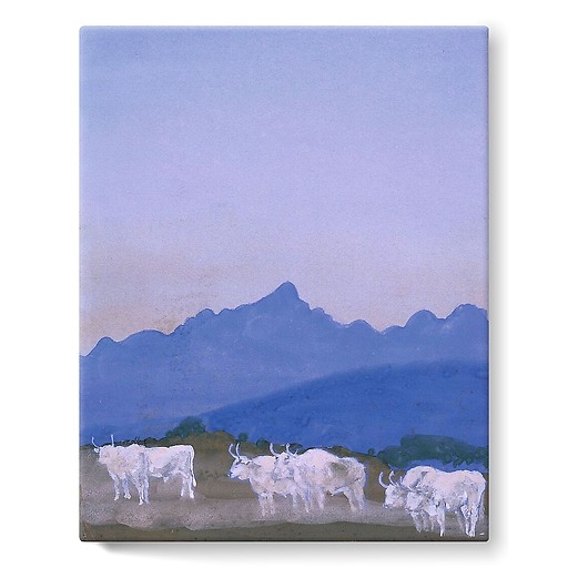 Trois couples de boeufs blancs sur fond de montagnes (les Apennins), le matin (toiles sur châssis)