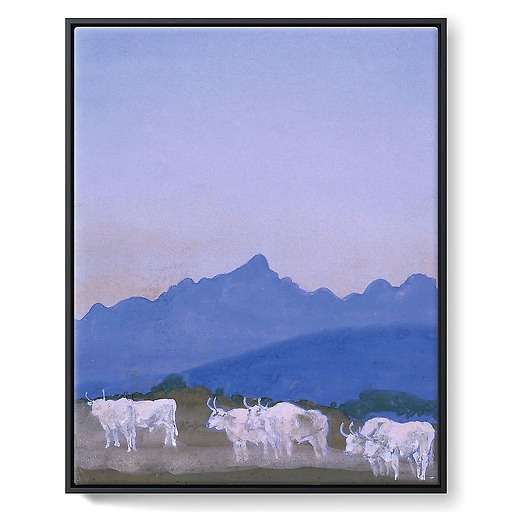Trois couples de boeufs blancs sur fond de montagnes (les Apennins), le matin (toiles encadrées)