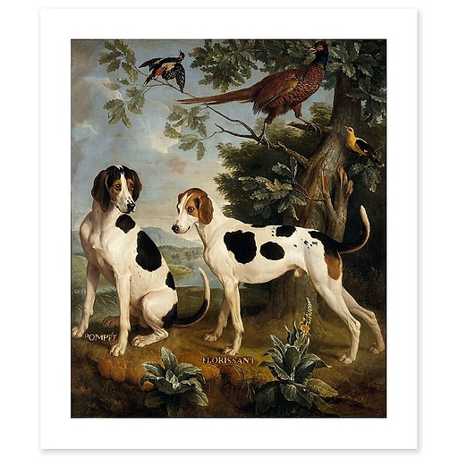 Pompee and Florissant, dogs of Louis XIV (art prints)