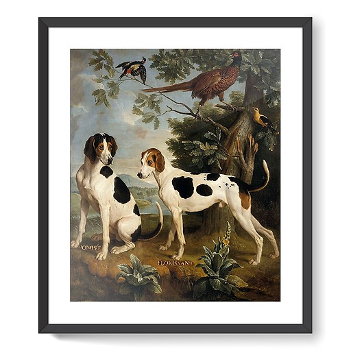 Pompee and Florissant, dogs of Louis XIV (framed art prints)