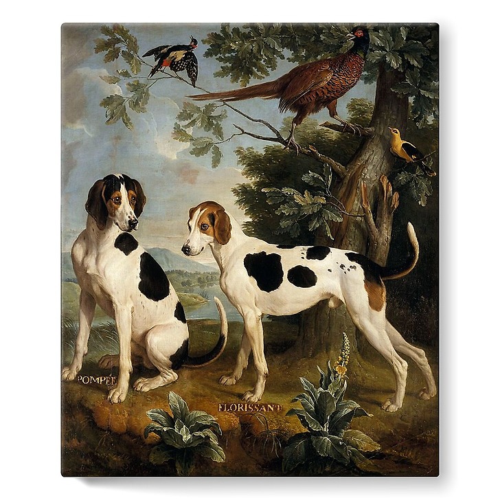 Les Chiens Pompée et Florissant (toiles sur châssis)