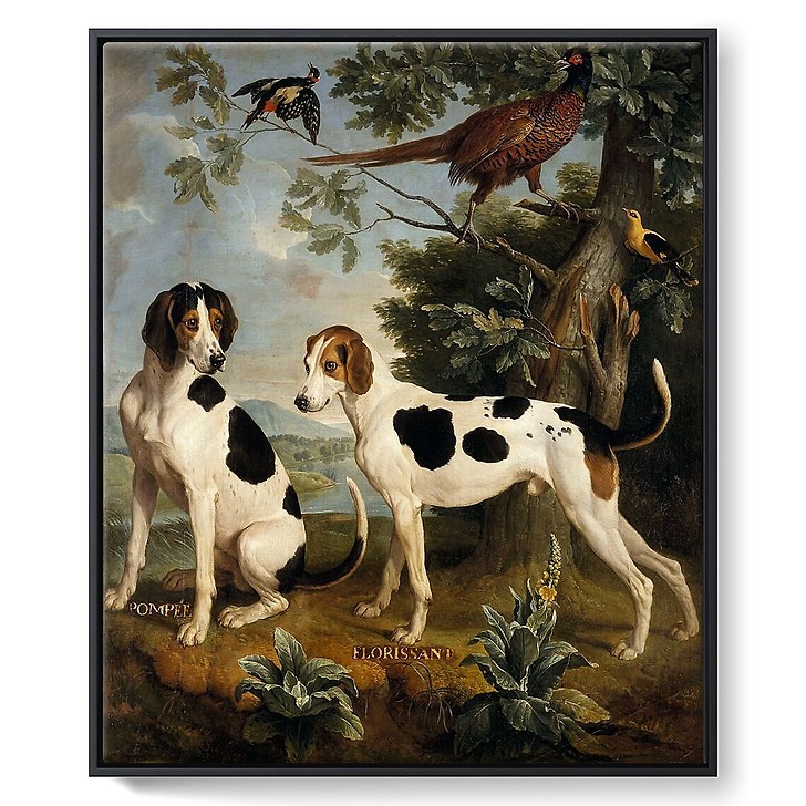 Pompee and Florissant, dogs of Louis XIV (framed canvas)