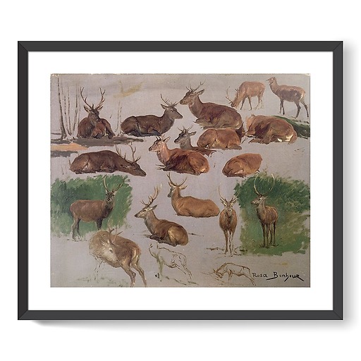 Deer study: 19 sketches (framed art prints)