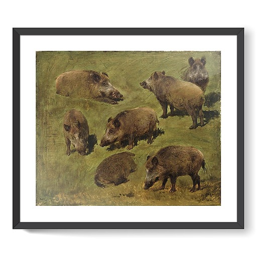Lying and standing boars: 7 sketches (framed art prints)