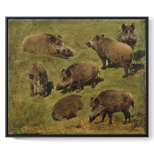 Lying and standing boars: 7 sketches (framed canvas)