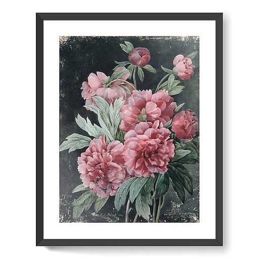 Peony branches (framed art prints)