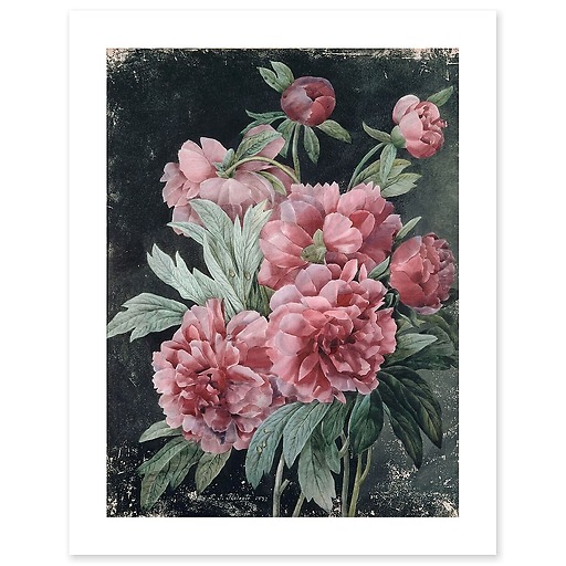 Peony branches (canvas without frame)