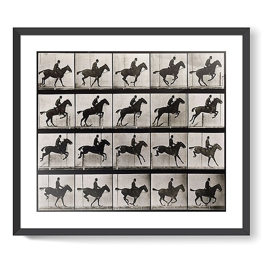 Animal Locomotion : Saut d'obstacle, cheval noir (affiches d'art encadrées)
