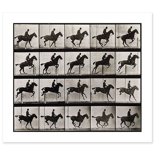 Animal Locomotion : Saut d'obstacle, cheval noir (toiles sans cadre)