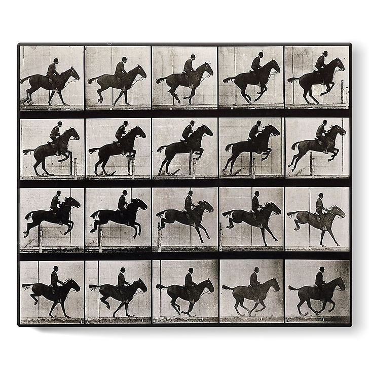 Animal Locomotion: Horse jumping (stretched canvas)