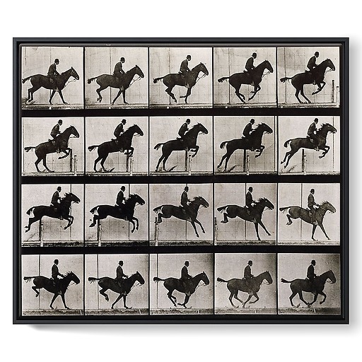 Animal Locomotion : Saut d'obstacle, cheval noir (toiles encadrées)