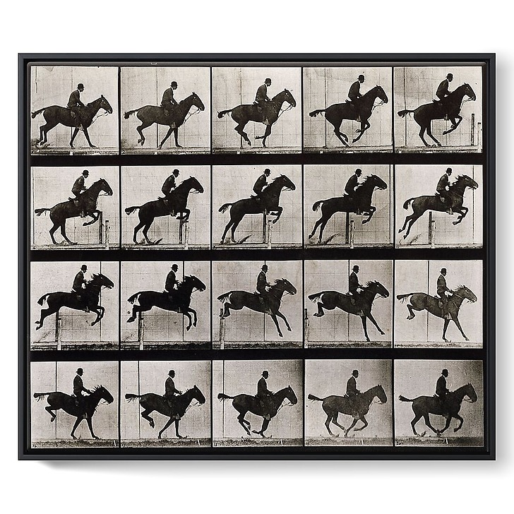 Animal Locomotion: Horse jumping (framed canvas)