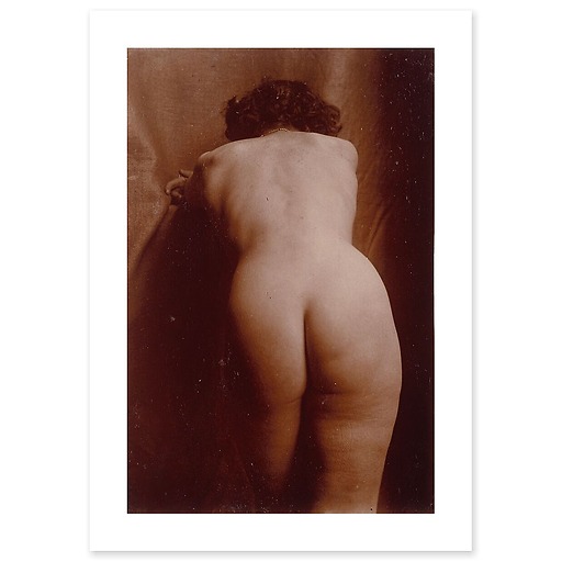 Naked woman standing up from behind, leaning, knee-high view (art prints)