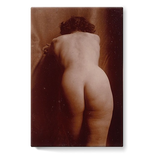 Naked woman standing up from behind, leaning, knee-high view (stretched canvas)