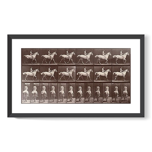 Animal Locomotion: White horse at the step (framed art prints)