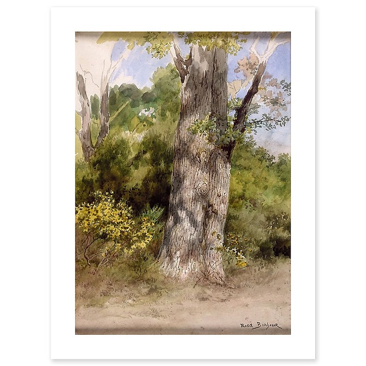 The Big Oak-recto (art prints)