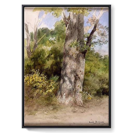 The Big Oak-recto (framed canvas)
