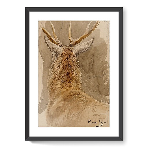 Deer study (framed art prints)