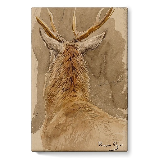 Deer study (stretched canvas)