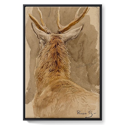 Deer study (framed canvas)