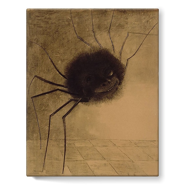 L'Araignée souriante (toiles sur châssis)