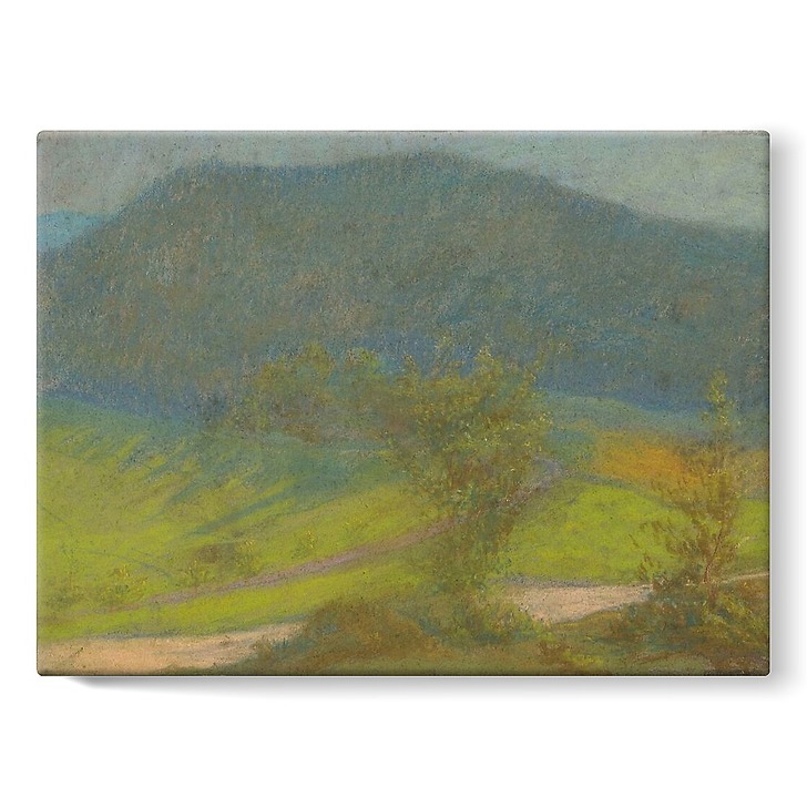 Mountain landscape with trees in the foreground (stretched canvas)