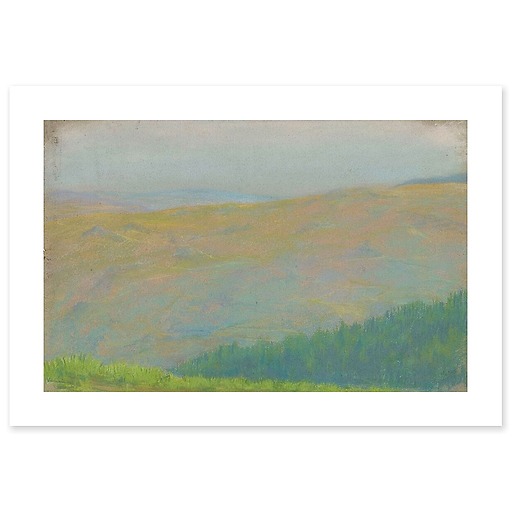 Mountain landscape with fir forest in the foreground (canvas without frame)