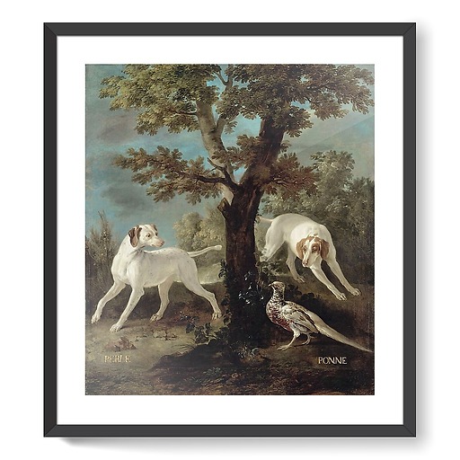 Perle and Ponne, dogs from the pack of Louis XV oudry (framed art prints)