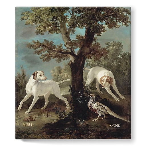 Perle and Ponne, dogs from the pack of Louis XV oudry (stretched canvas)
