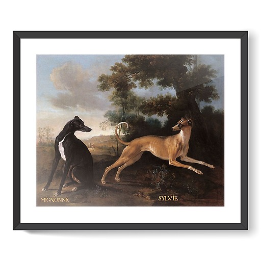 Mignonne and Sylvie, dogs from the pack of Louis XV oudry (framed art prints)