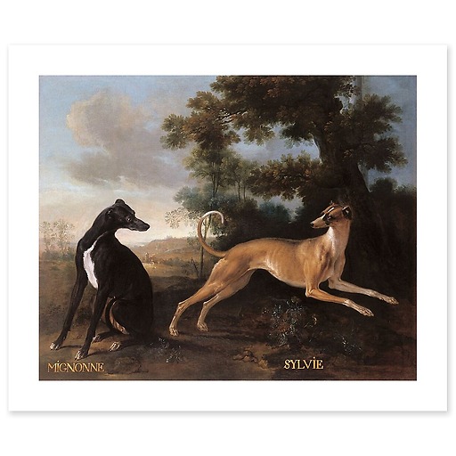 Mignonne and Sylvie, dogs from the pack of Louis XV oudry (canvas without frame)