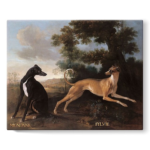 Mignonne and Sylvie, dogs from the pack of Louis XV oudry (stretched canvas)