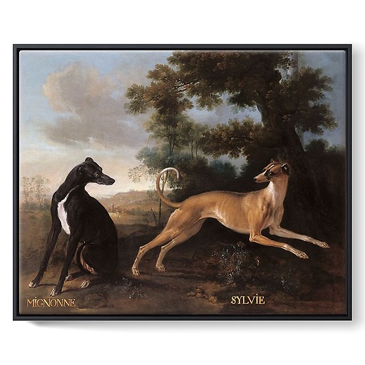 Mignonne and Sylvie, dogs from the pack of Louis XV oudry (framed canvas)