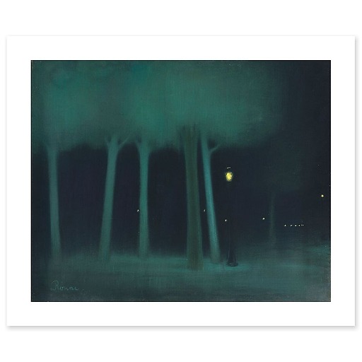 Un parc dans la nuit (affiches d'art)