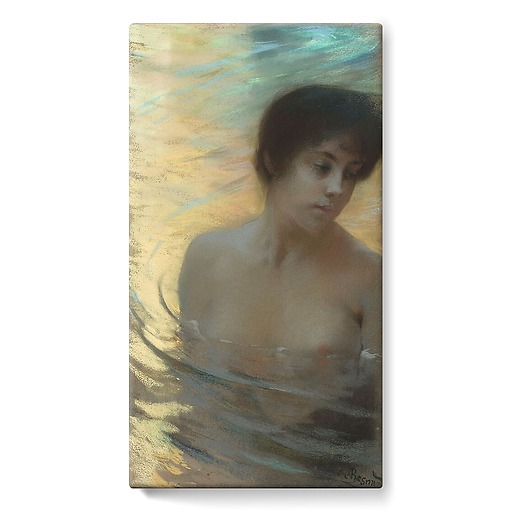Bather (stretched canvas)