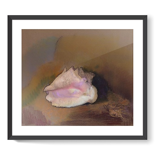 The Shell: Bottom Right, Small Shell, in the Shadow (framed art prints)
