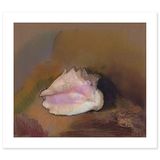 The Shell: Bottom Right, Small Shell, in the Shadow (canvas without frame)