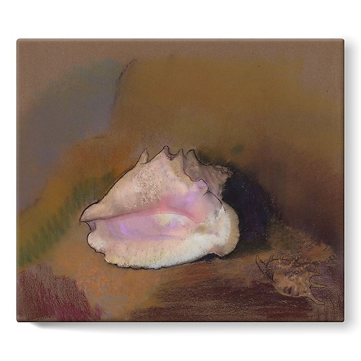 The Shell: Bottom Right, Small Shell, in the Shadow (stretched canvas)
