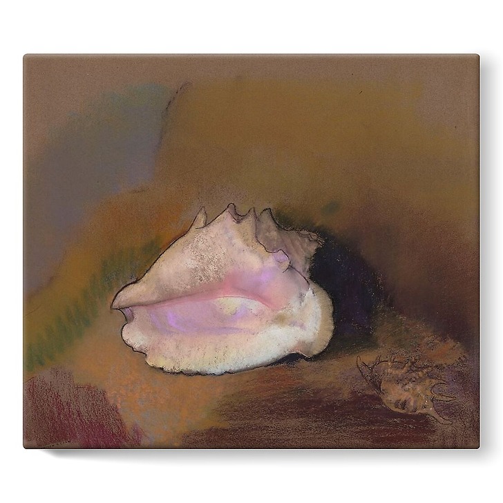 La Coquille : en bas à droite, petit coquillage, dans l'ombre (toiles sur châssis)