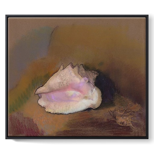 The Shell: Bottom Right, Small Shell, in the Shadow (framed canvas)
