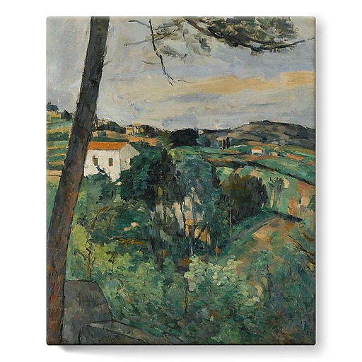 Pine tree at L'Estaque or Landscape with red roof (stretched canvas)