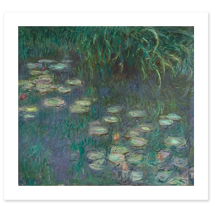The Water Lilies: Morning (canvas without frame)