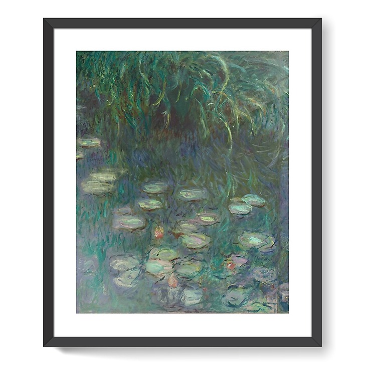 Les Nymphéas : Matin (affiches d'art encadrées)