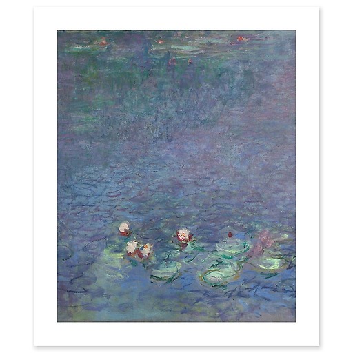 The Water Lilies: Morning (canvas without frame)